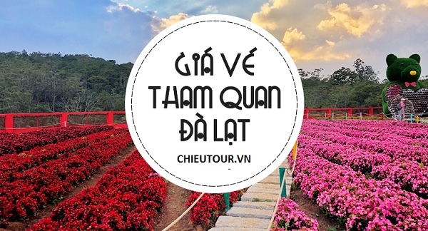 Giá Vé Các Địa Điểm Tham Quan Tại Đà Lạt