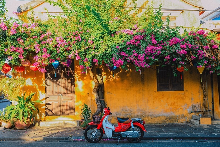 Hoa giấy Hội An