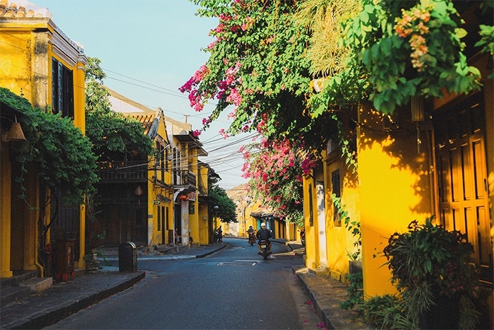 Hoa giấy Hội An