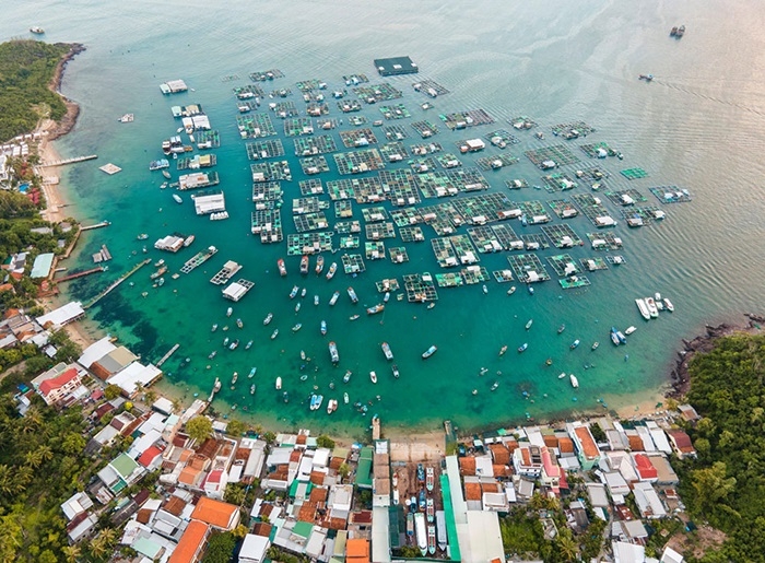 Hòn Miễu Nha Trang