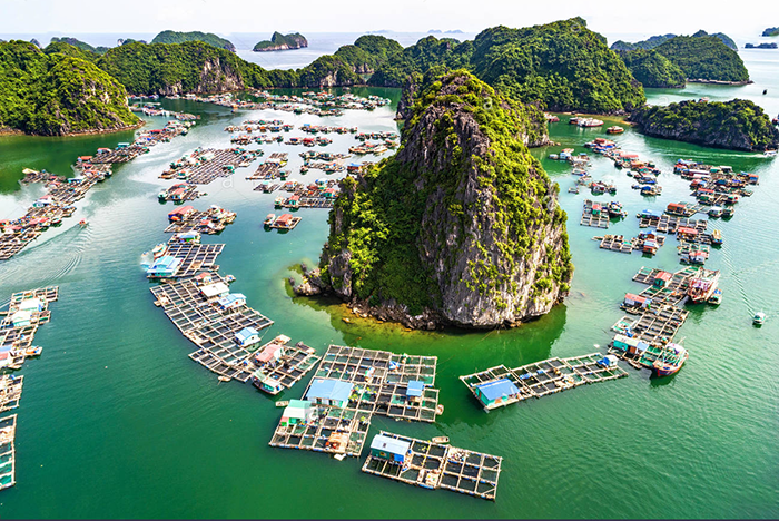 Cua Van Floating Village