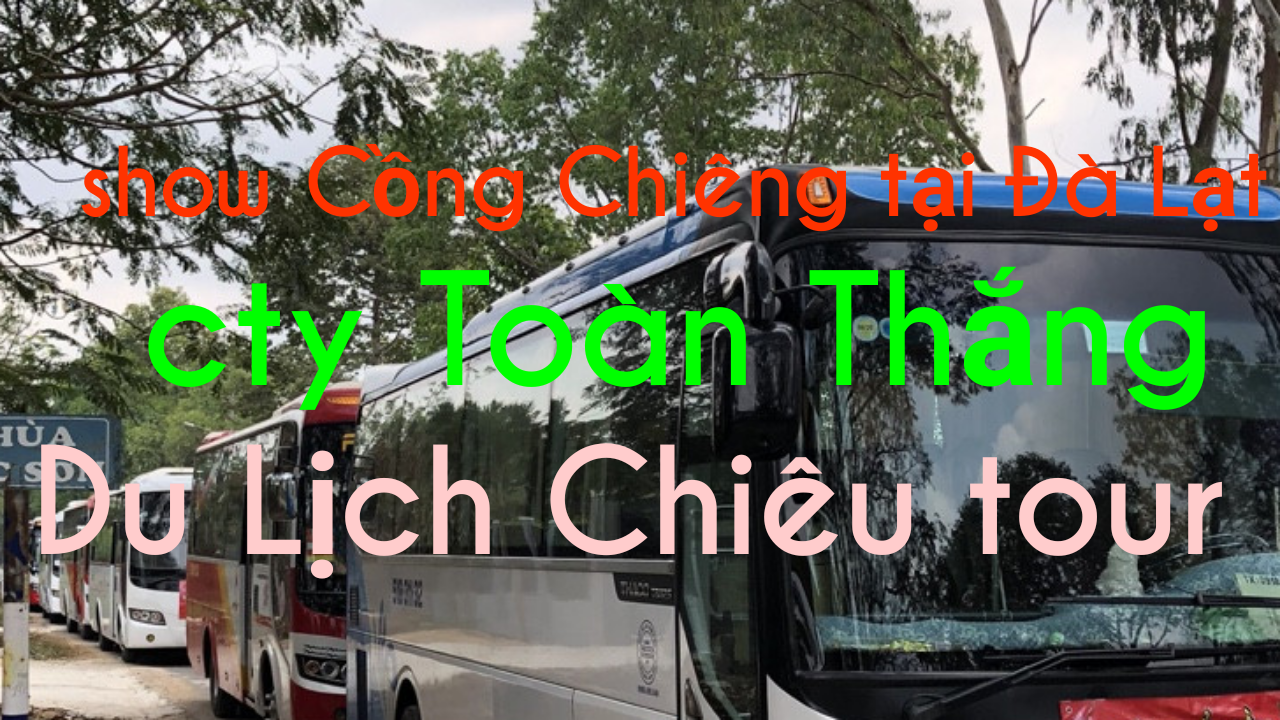 Mẫu báo cáo thực tập của sinh viên du lịch