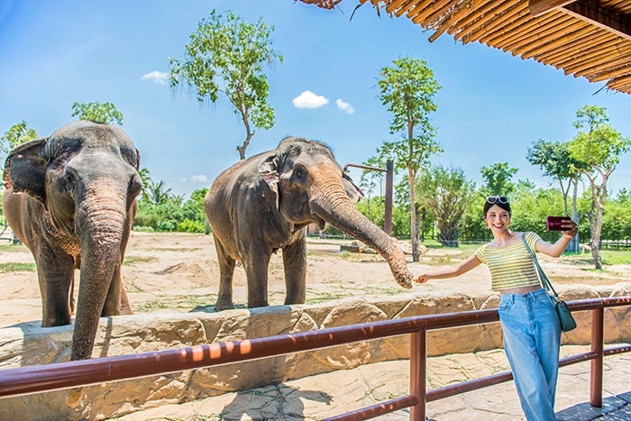 Tour du lịch Hội An từ TpHCM