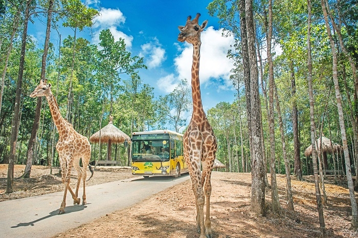 Vinpearl Safari Phú Quốc