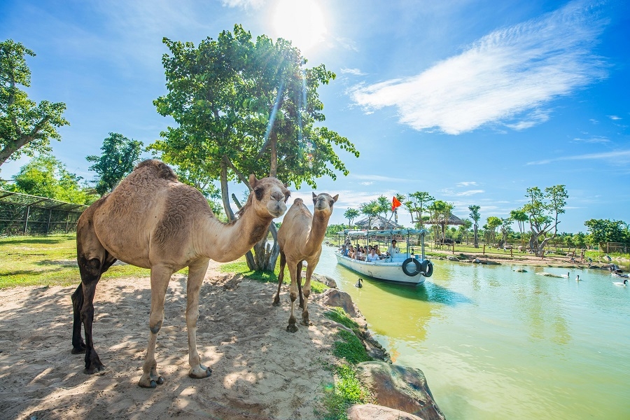 Vườn thú River Safari Nam Hội An