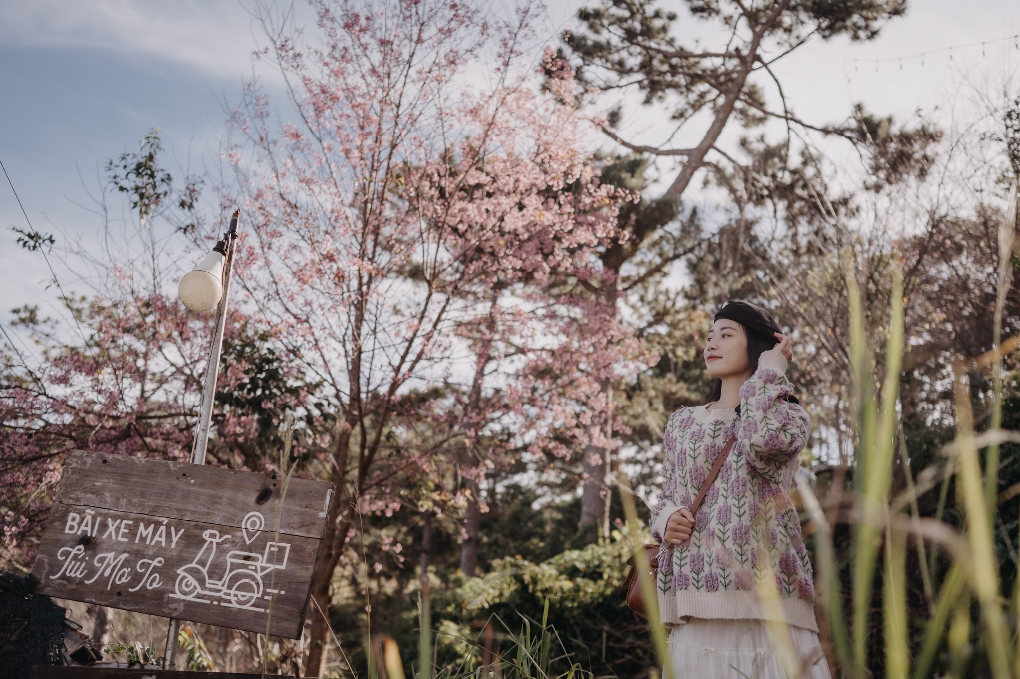 Review của bạn Mei Lương về mùa hoa đào Đà Lạt