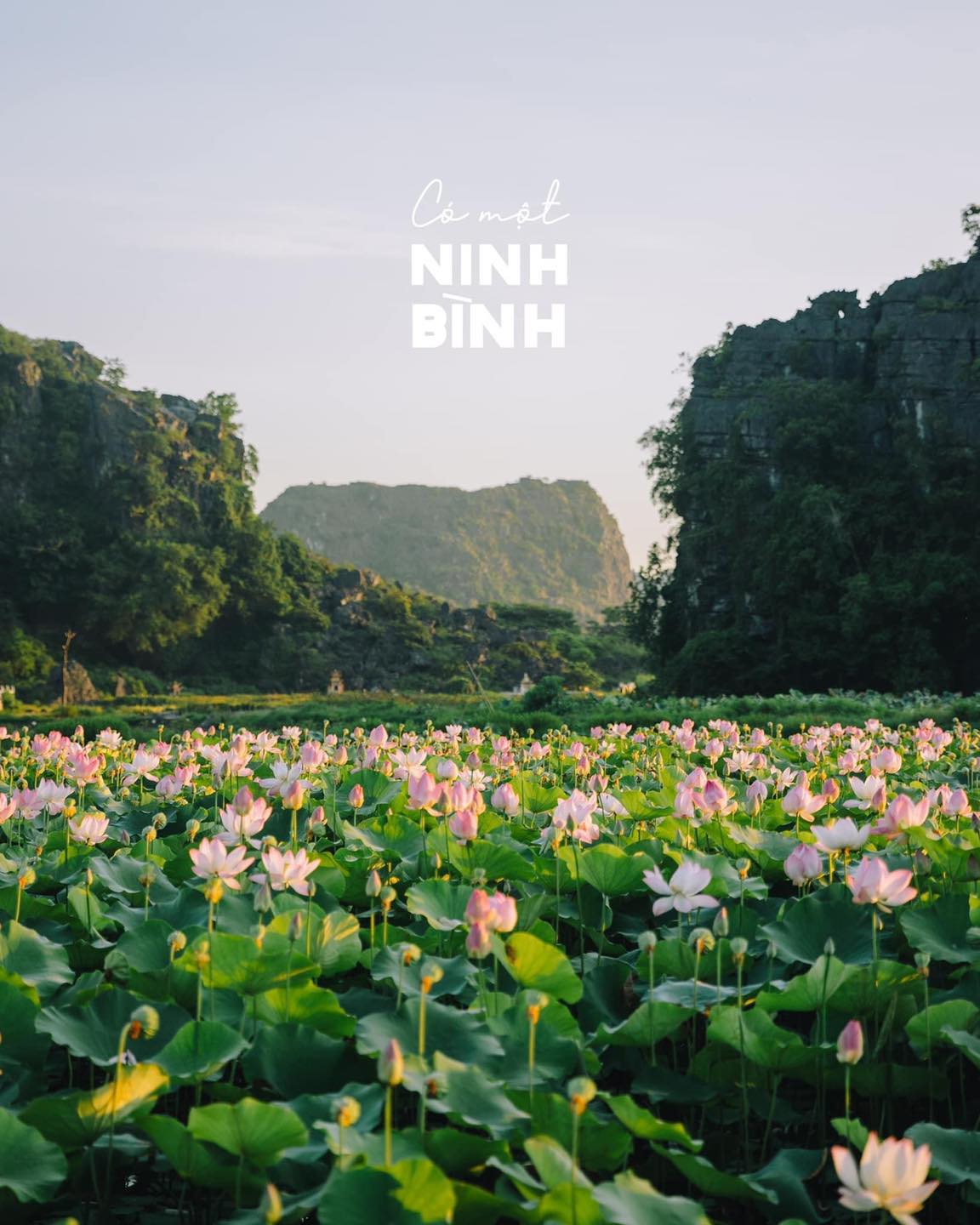 Review của bạn Bùi Quang Thụy về chuyến đi vivu Ninh Bình 2N1Đ