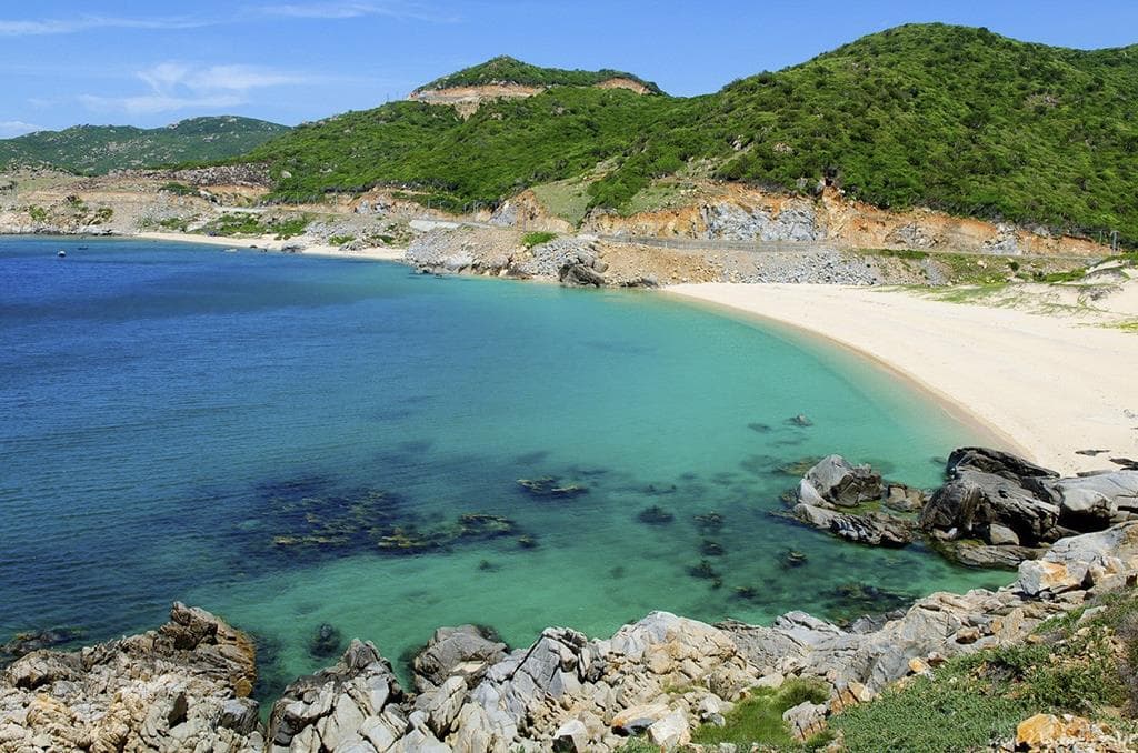 Camping bãi chuối