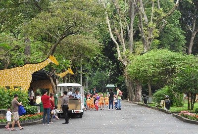 Thảo Cầm Viên Sài Gòn – Lá phổi xanh giữa lòng thành phố