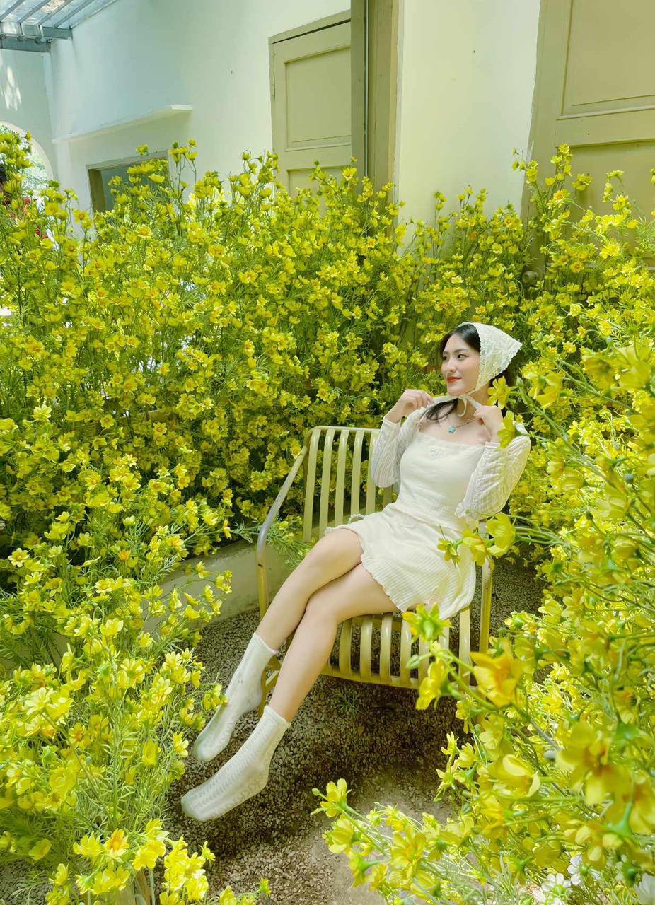 Daisy Coffee – Góc Hàn Quốc Mộng Mơ Giữa Lòng Sài Gòn