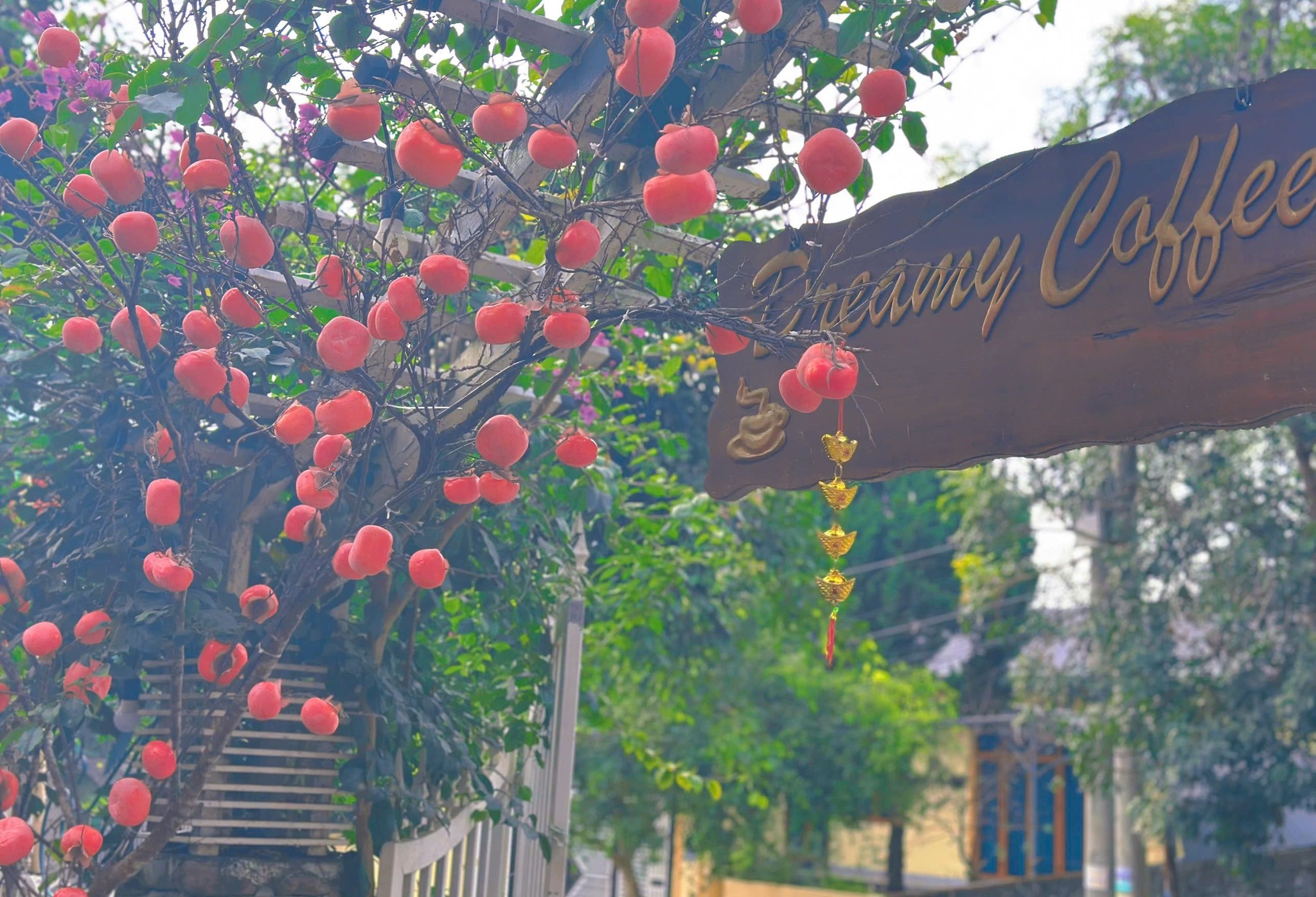 Dreamy Coffee – “Châu Âu thu nhỏ” giữa lòng Lai Châu