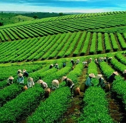 Tân Uyên – Điểm dừng chân không thể bỏ lỡ ở Lai Châu