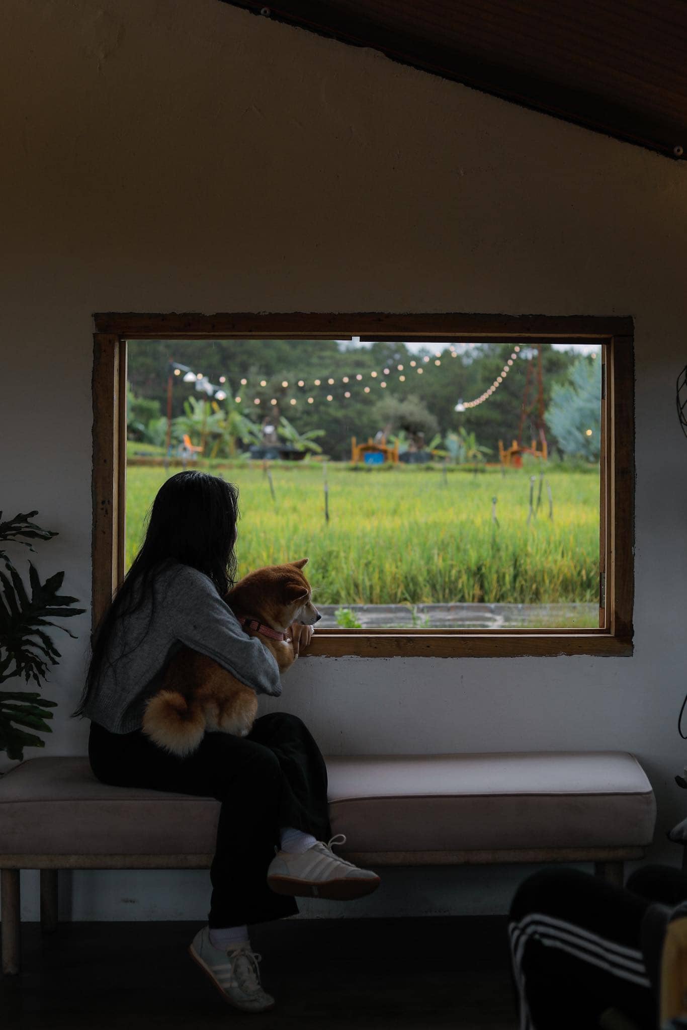 Hidden Land – Khu vườn bí ẩn giữa lòng Đà Lạt mộng mơ