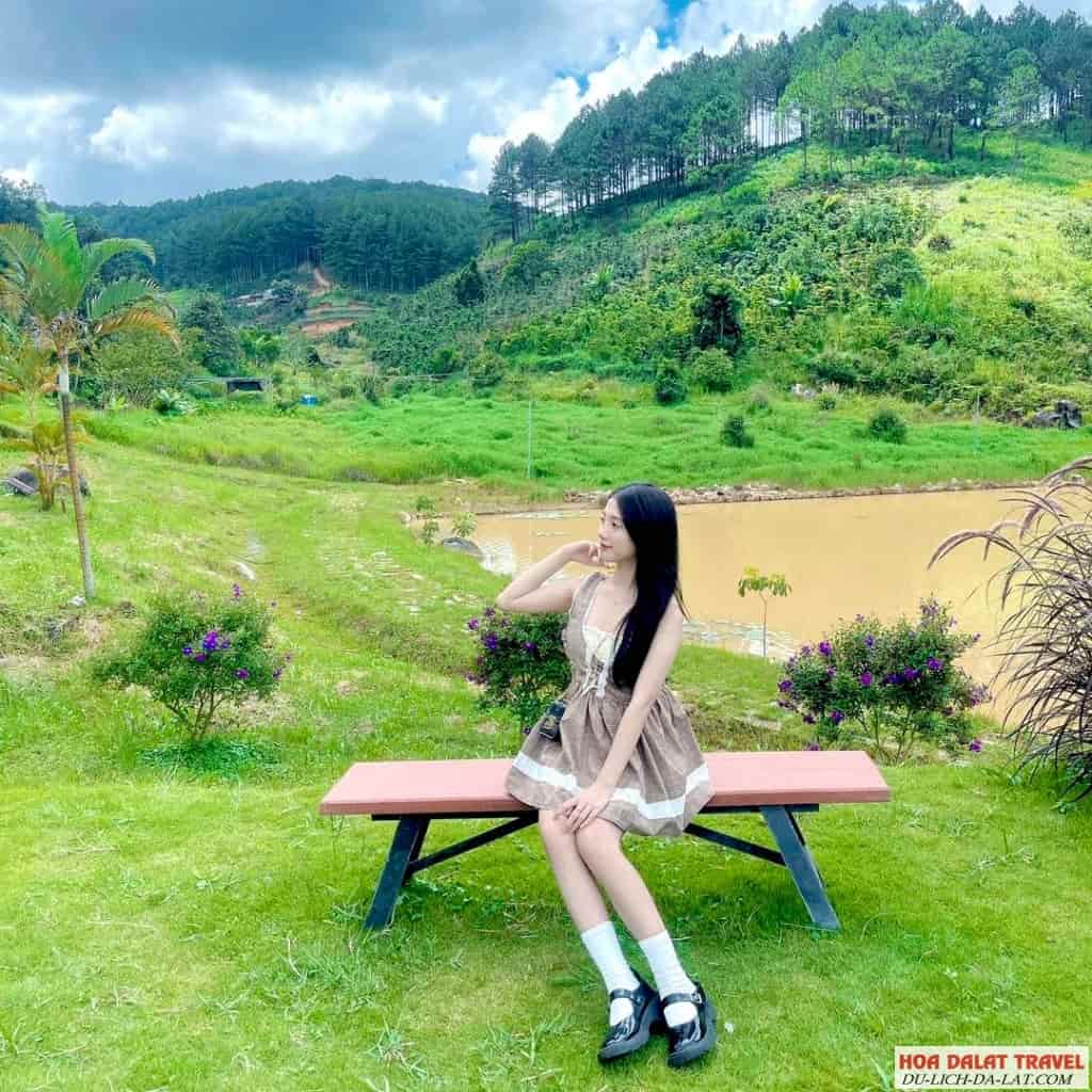 Nông Trại Máy Bay Giấy – Chốn dừng chân mộng mơ giữa Tà Nung