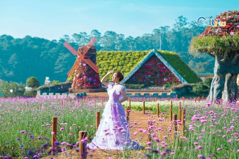 Fresh Garden Đà Lạt – Thiên đường hoa giữa lòng phố núi