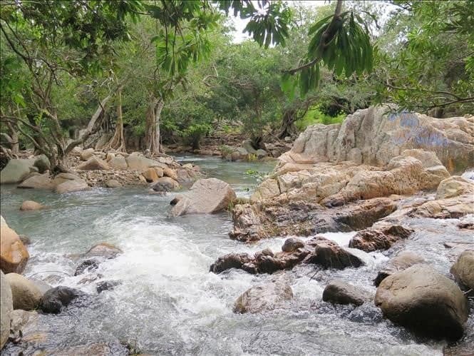 Suối Lồ Ồ – Dòng suối hoang sơ giữa rừng núi Vĩnh Hy