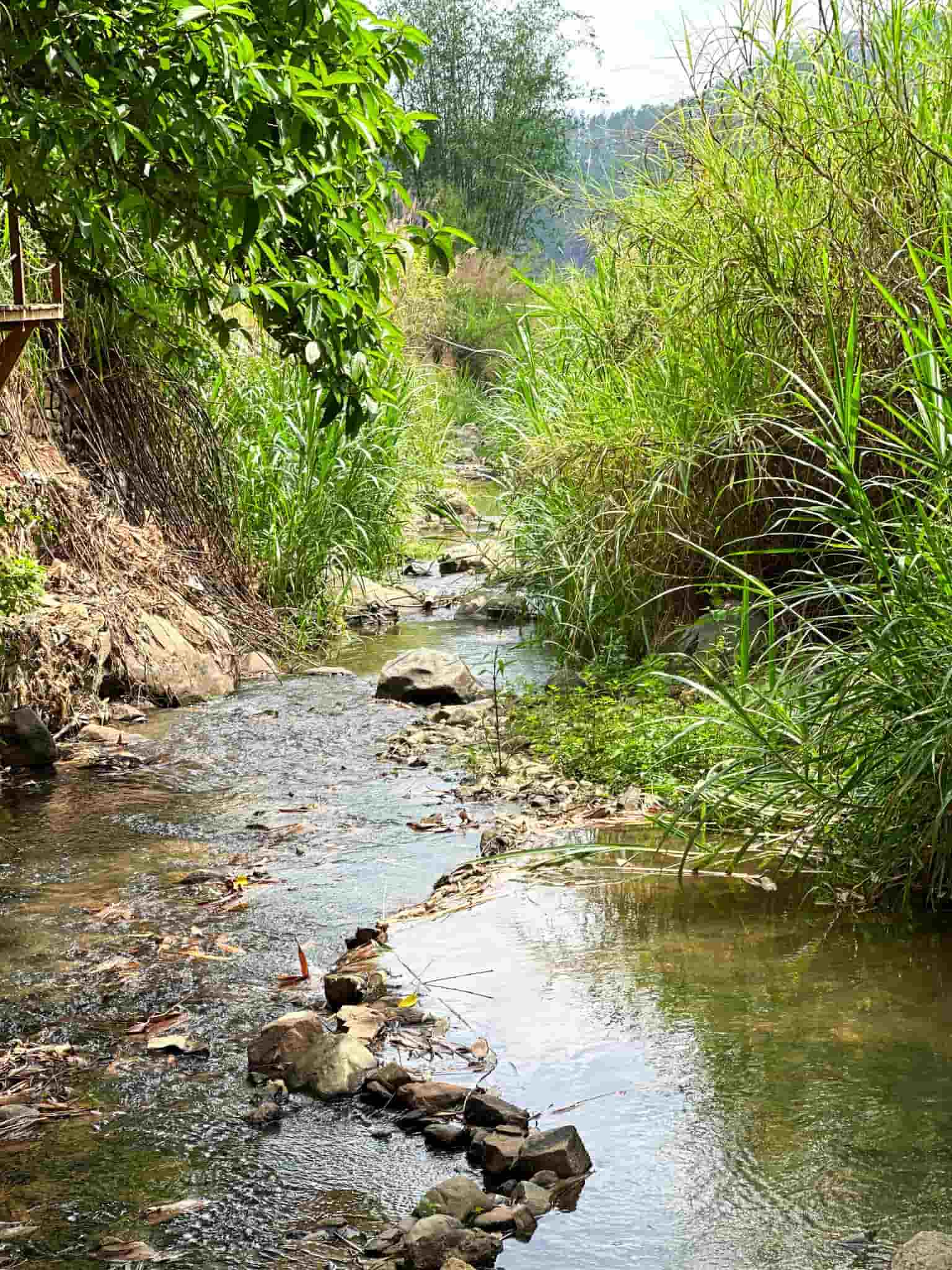 Kẻng Đà Lạt – Bản giao hưởng thiên nhiên giữa lòng thung lũng