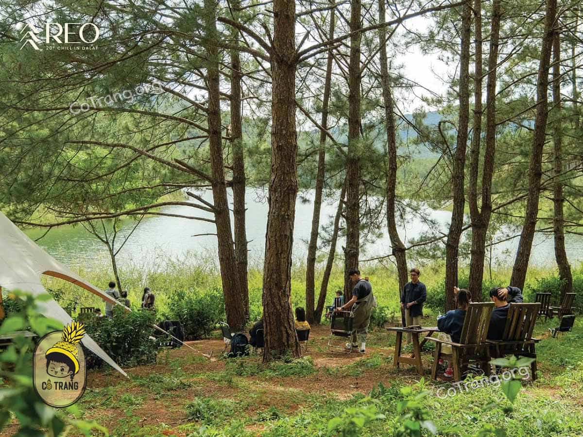 Reo Campsite – BBQ: Thiên đường dã ngoại, thưởng ngoạn giữa rừng thông Đà Lạt