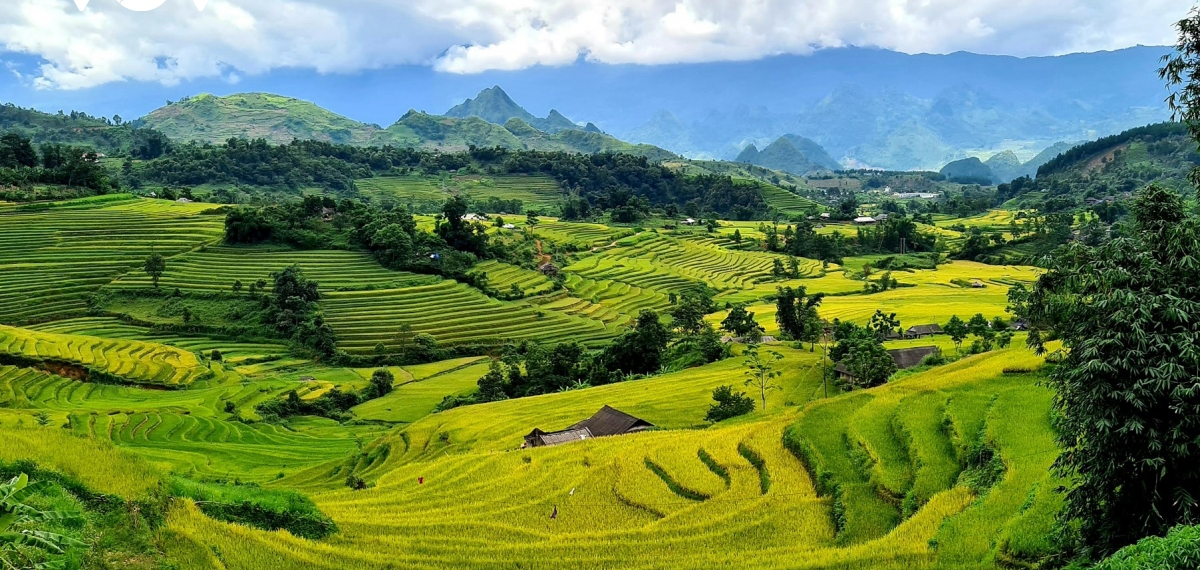 Lai Châu