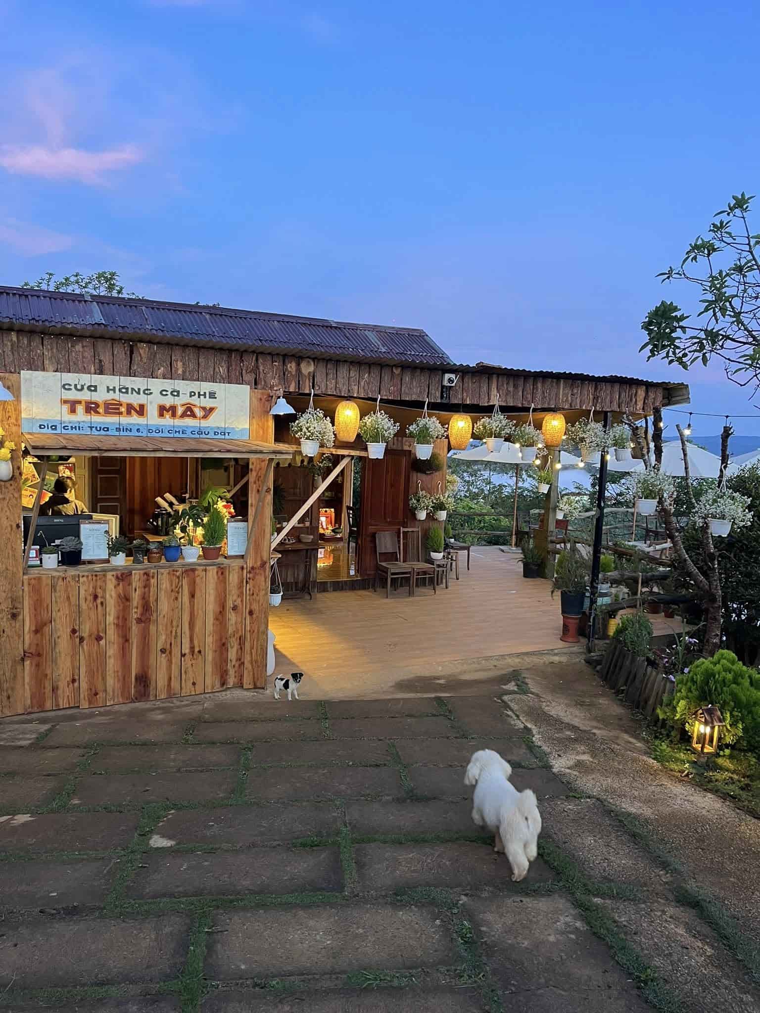 Khu Vườn Trên Mây Coffee & Healing – Chốn dừng chân giữa lưng chừng trời Đà Lạt
