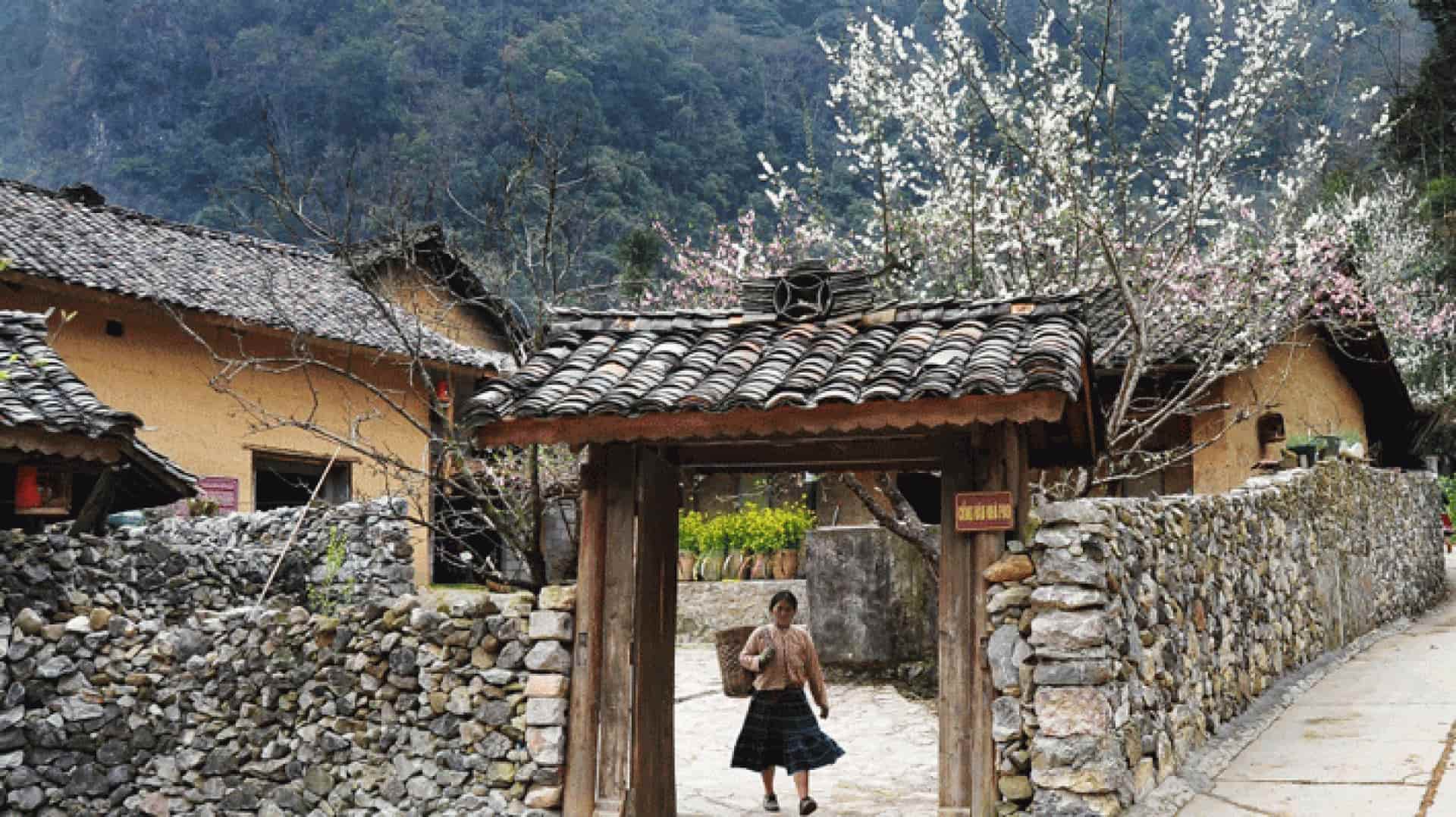Làng văn hóa du lịch Lũng Cẩm – Vẻ đẹp nguyên sơ giữa cao nguyên đá Hà Giang