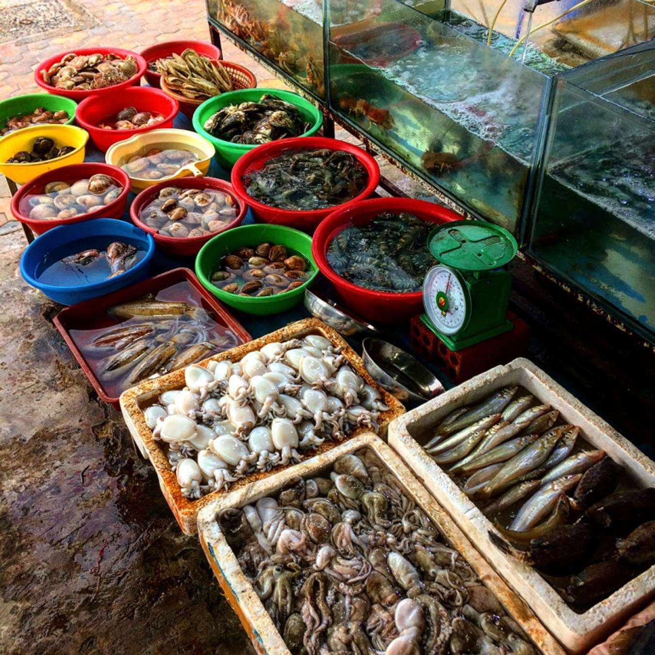 Chợ Phan Thiết - Nơi mua hải sản chất lượng nhất phố biển