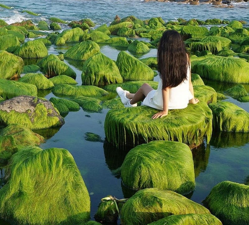 Bãi rêu Nam Ô – Vẻ đẹp kỳ ảo giữa lòng Đà Nẵng