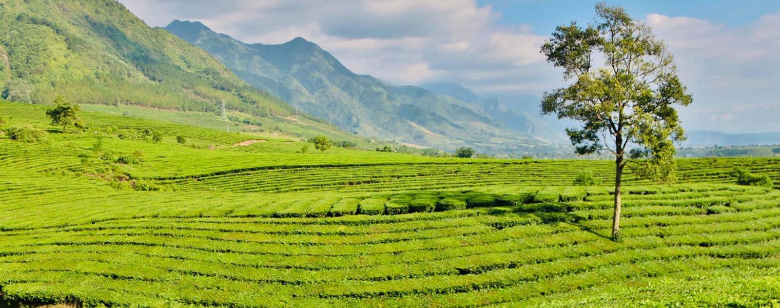 Tân Uyên – Điểm dừng chân không thể bỏ lỡ ở Lai Châu