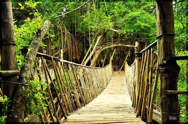 Khu du lịch Buôn Đôn- Nơi chứa đựng vẻ đẹp mộc mạc, diệu kỳ của núi rừng bạt ngàn Đắk Lắk.