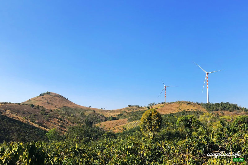 Cánh đồng quạt gió Ea H'leo- cánh đồng điện gió lớn nhất Việt Nam