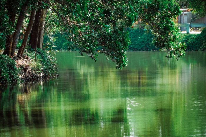 Hồ Trúc Đắk Nông - Lá phổi xanh thơ mộng giữa lòng Cư Jút