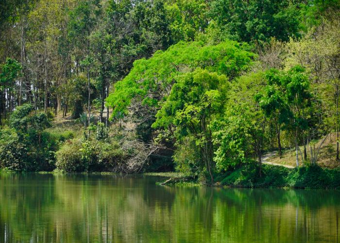 Hồ Trúc Đắk Nông - Lá phổi xanh thơ mộng giữa lòng Cư Jút