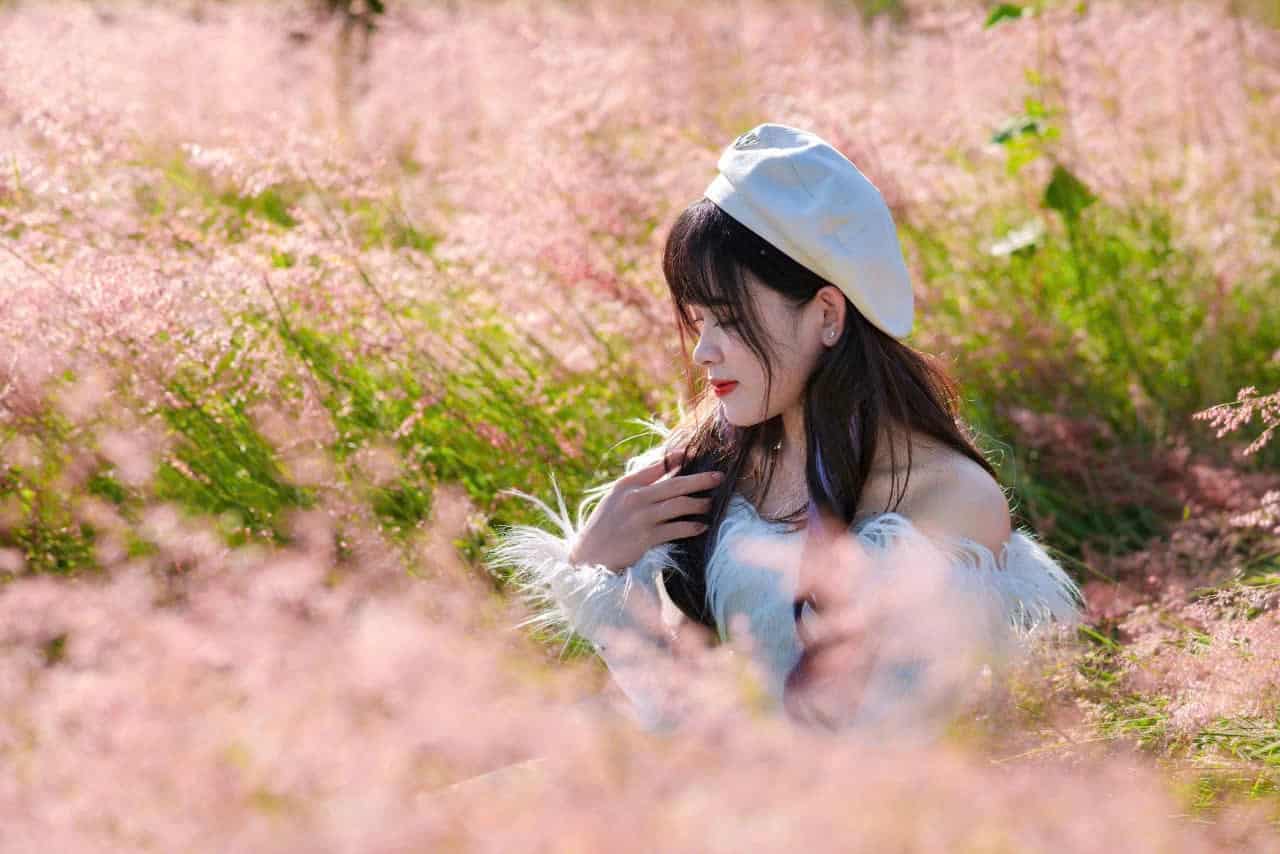 Đồi Cỏ Hồng Mộc Châu – Vẻ đẹp lãng mạn giữa lòng Tây Bắc
