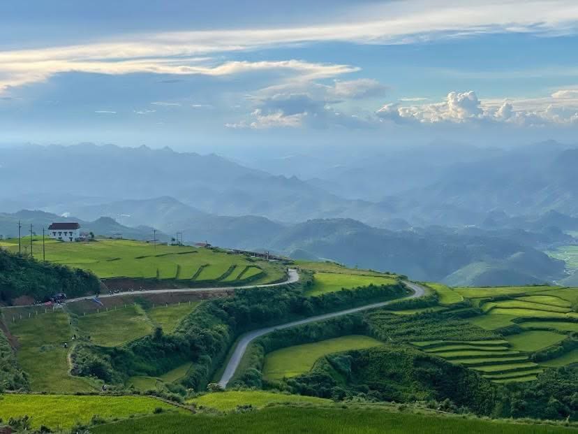 Đồi Sim – Săn mây Suối Bon: Hành trình chinh phục vẻ đẹp hoang sơ của núi rừng Sơn La