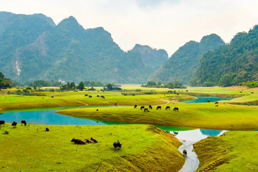 Thảo nguyên Đồng Lâm – Viên ngọc xanh giữa lòng Lạng Sơn