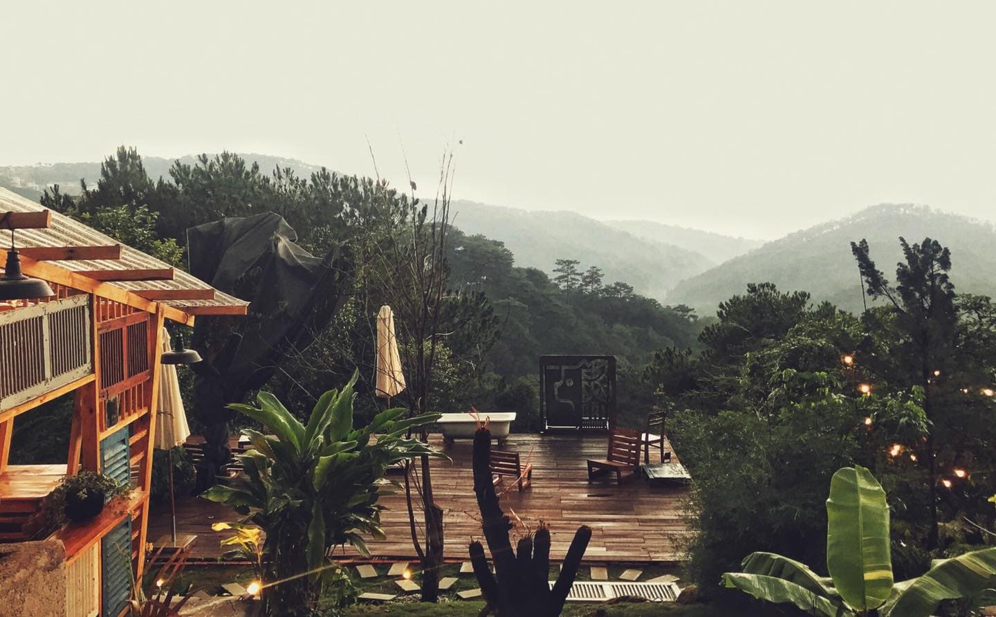 Gâu Garden – Xứ Sở “Sống Ảo” Cho Hội Yêu Cún Giữa Lưng Chừng Đồi