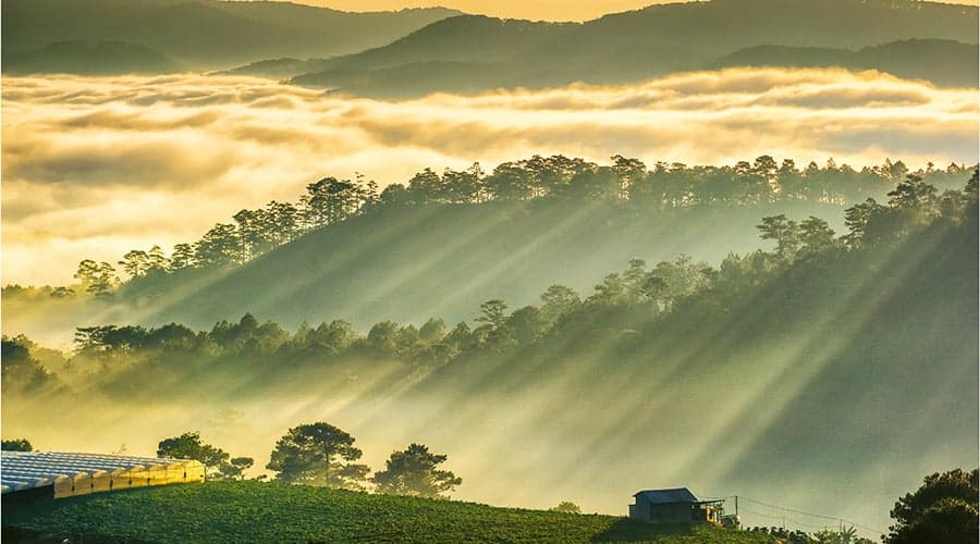 Đồi Măng Lin – Nơi dừng chân lý tưởng giữa thiên nhiên Đà Lạt
