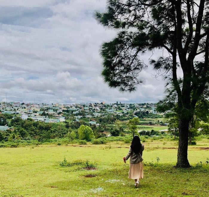 Đồi thông Diên Phú Gia Lai - Điểm đến tuyệt đẹp tô điểm cho phố núi mộng mơ