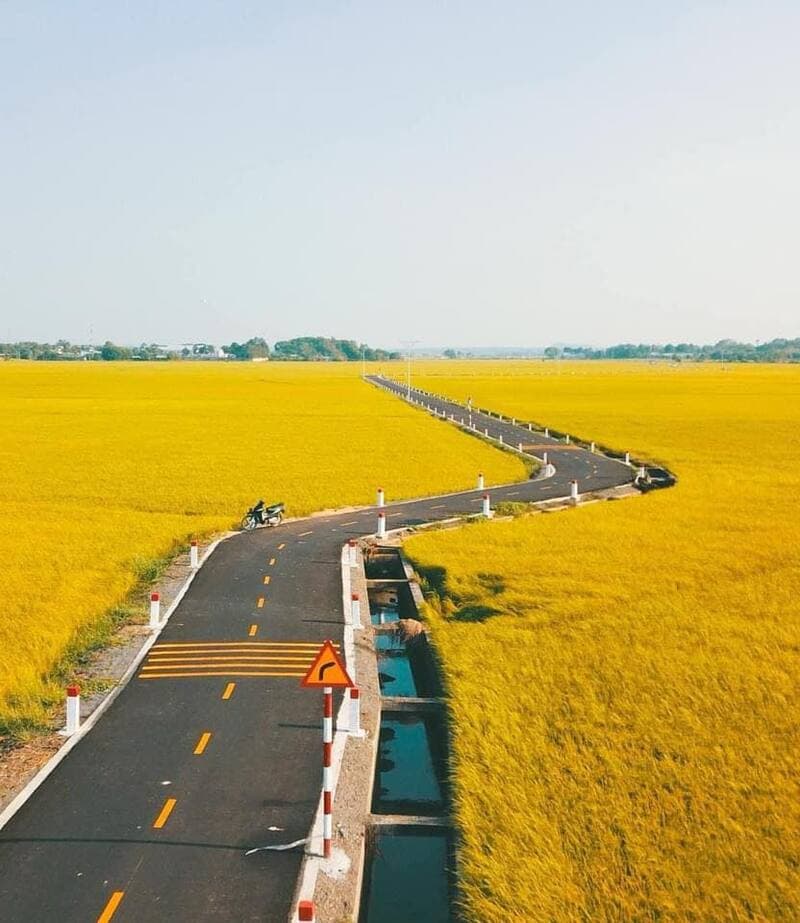 Cánh đồng An Nhứt – Vẻ đẹp thanh bình giữa lòng đất biển Vũng Tàu