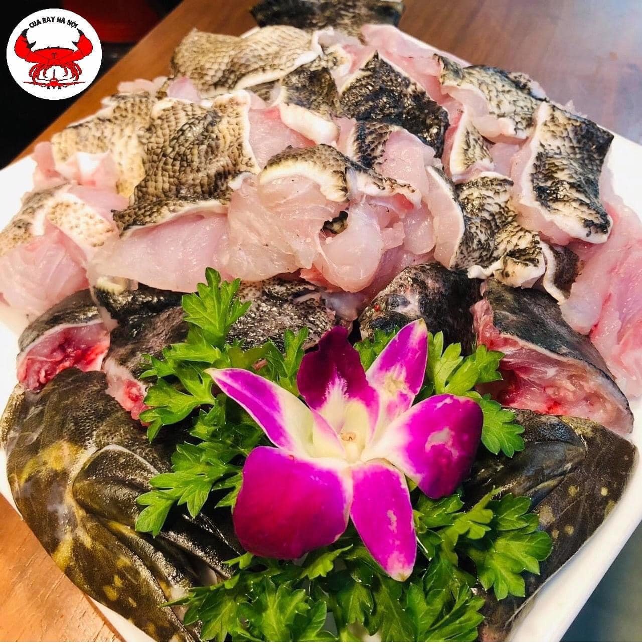 Nhà hàng Hải sản Cua Bay – Thực đơn chất lượng với các loại hải sản