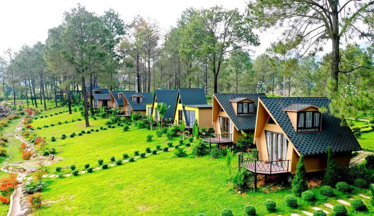 Đồi Thông Bản Áng – Chốn mộng mơ giữa cao nguyên Mộc Châu