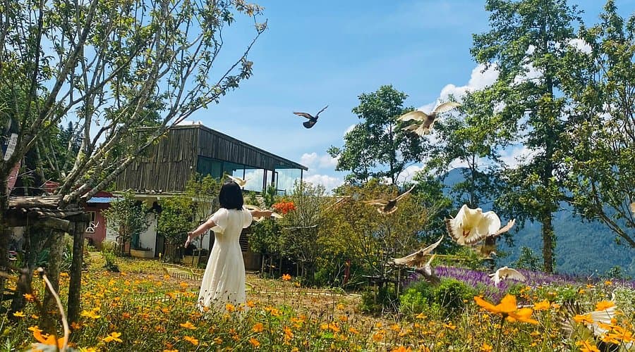 Po Mu Sapa Garden & Coffee – 1001 góc sống ảo châu Âu giữa Sa Pa