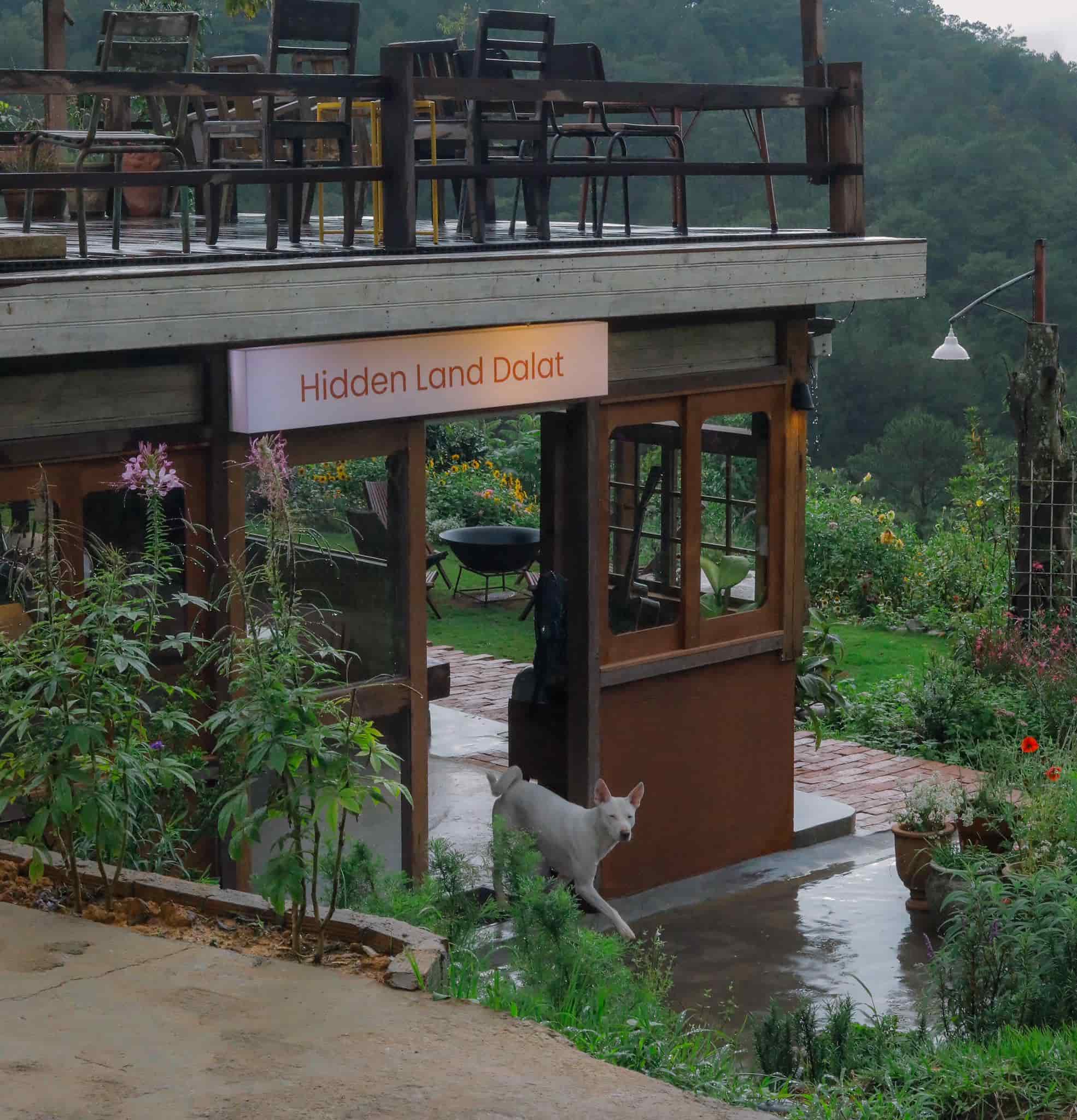 Hidden Land – Khu vườn bí ẩn giữa lòng Đà Lạt mộng mơ