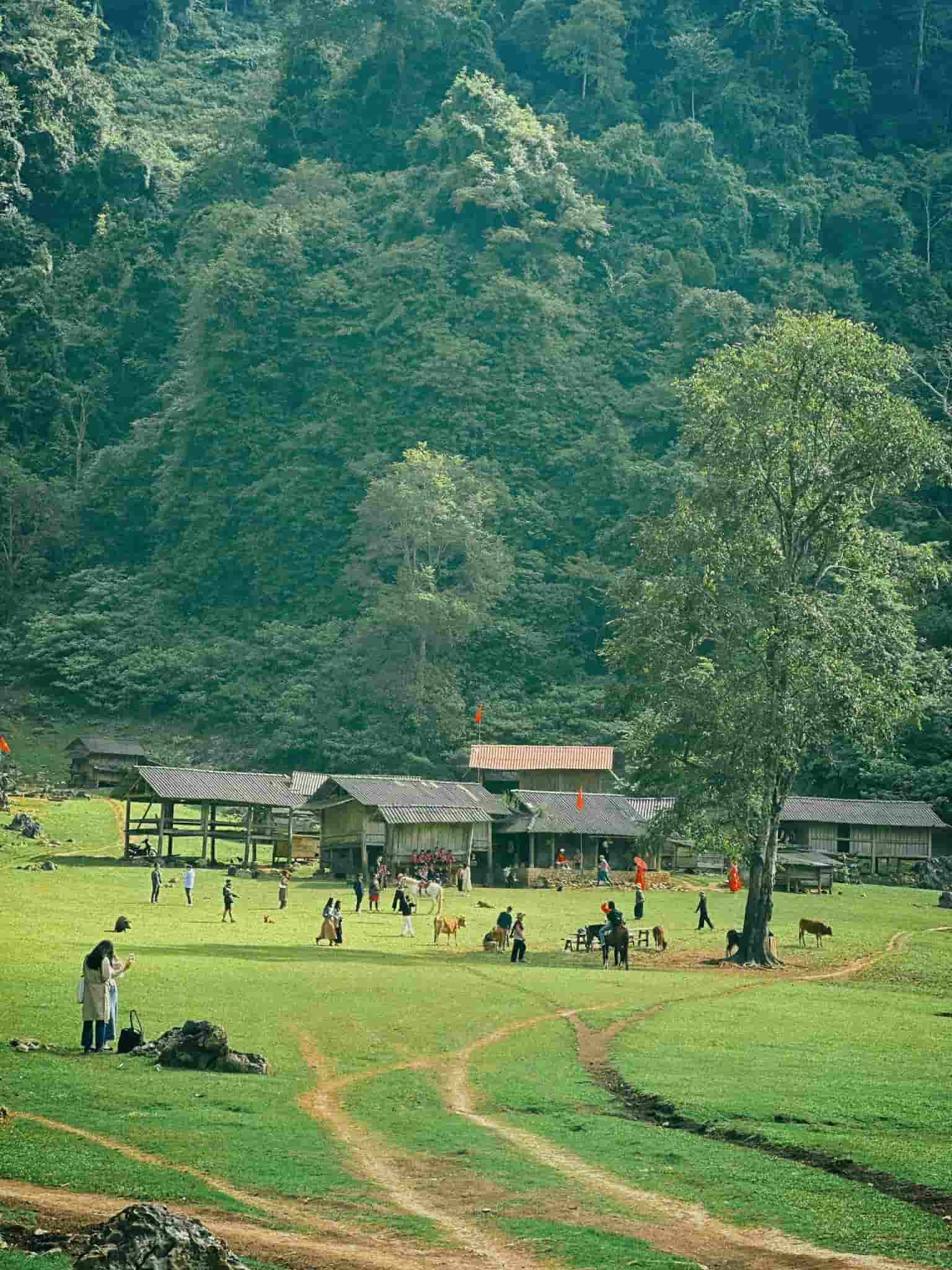 HV