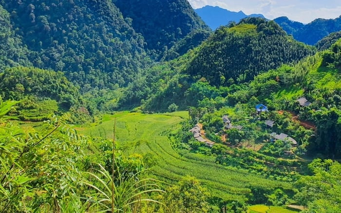 Khu Bảo Tồn Thiên Nhiên Pù Luông – Vẻ đẹp hoang sơ giữa đại ngàn xứ Thanh