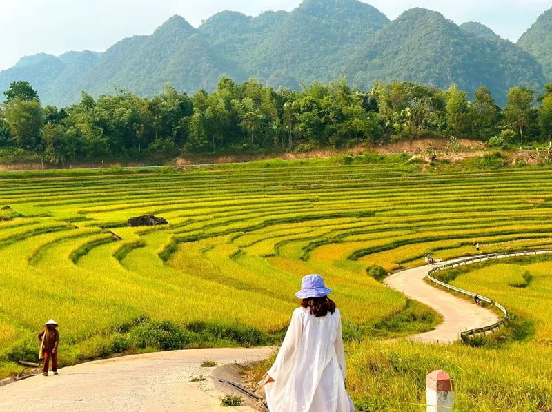Khu Bảo Tồn Thiên Nhiên Pù Luông – Vẻ đẹp hoang sơ giữa đại ngàn xứ Thanh