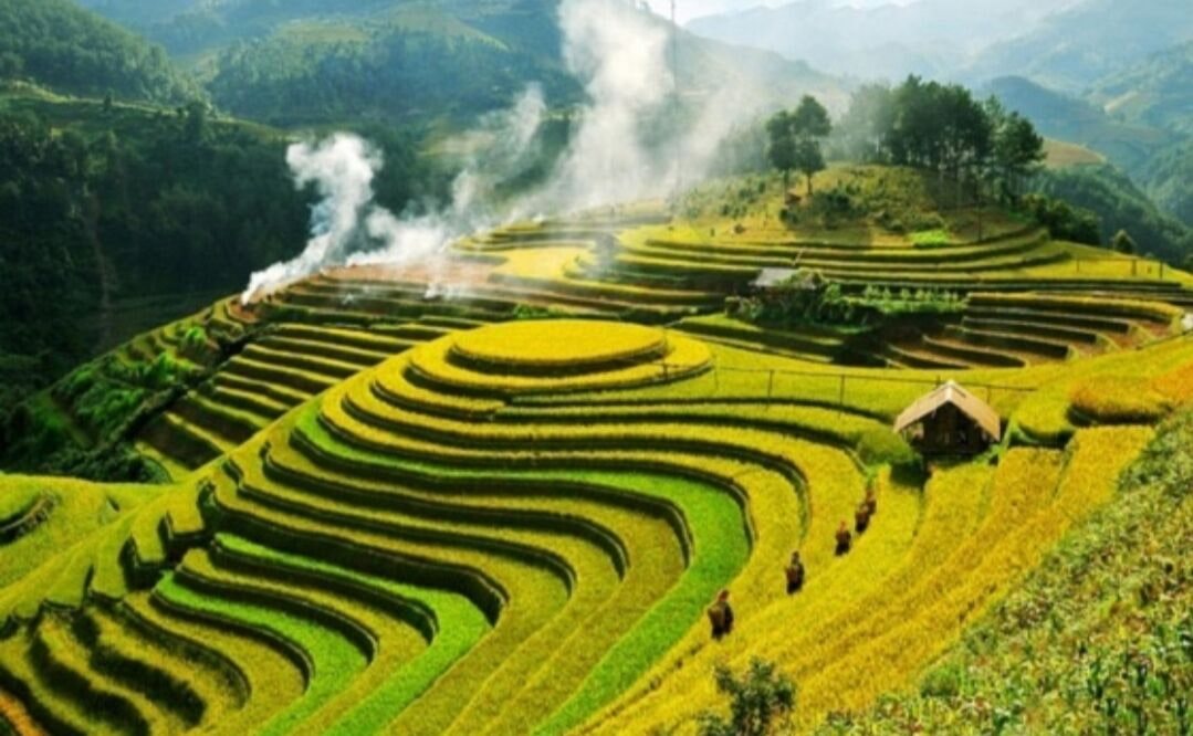 Khu Bảo Tồn Thiên Nhiên Pù Luông – Vẻ đẹp hoang sơ giữa đại ngàn xứ Thanh