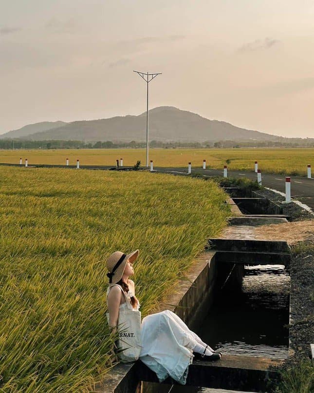 Cánh đồng An Nhứt – Vẻ đẹp thanh bình giữa lòng đất biển Vũng Tàu