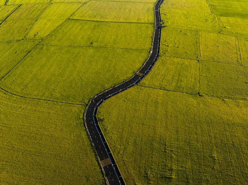 Cánh đồng An Nhứt – Vẻ đẹp thanh bình giữa lòng đất biển Vũng Tàu