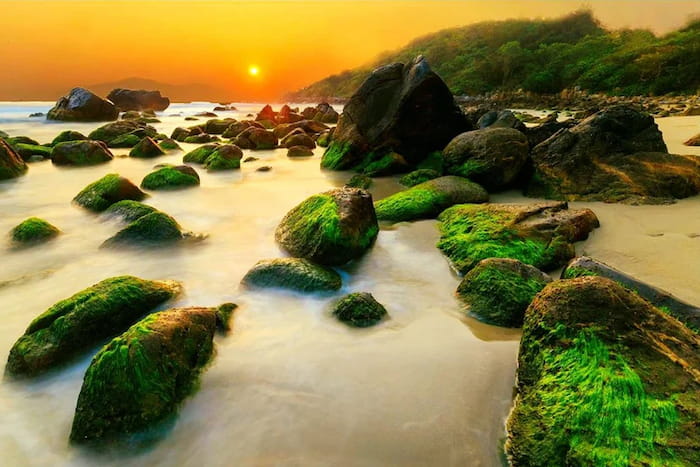 Bãi rêu Nam Ô – Vẻ đẹp kỳ ảo giữa lòng Đà Nẵng